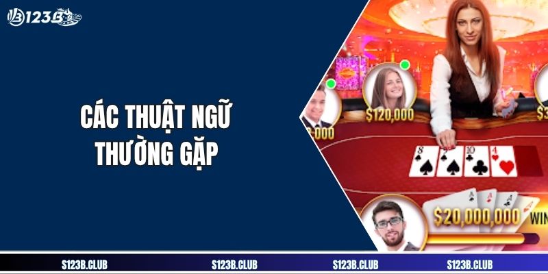 Các thuật ngữ thường gặp